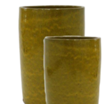 WhatsApp Image 2022-12-22 at 11.25.59